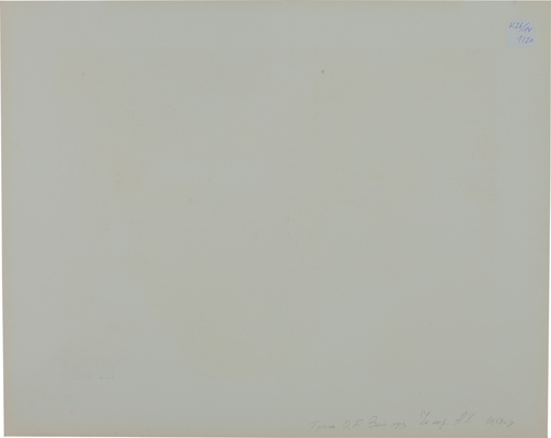 Тучина Ольга Борисовна. Маскарад